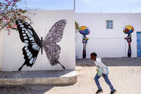A Erriadh, Djerbahood, le musée à ciel ouvert de street art développée par Mehdi Ben Cheikh, de la galerie Itinérance à Paris 13. Oeuvres de l'artiste Ardif (papillon) et à droite de l'artiste Tinho