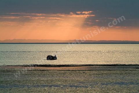 Coucher de soleil sur la mer à Guellala - ile de djerba