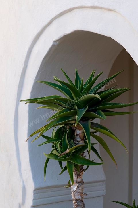 Hotel de charme Dar Dhiafa - Erriadh - Ile de Djerba