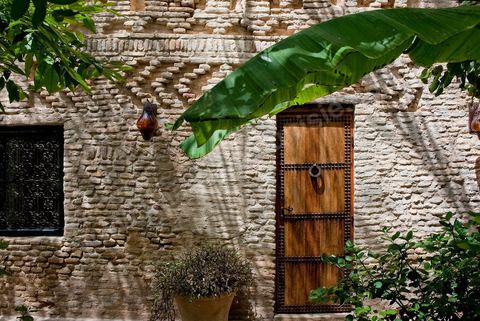 porte dasn le patio jardin du Dar El Hadir de Antoine dans la medina de Tozeur