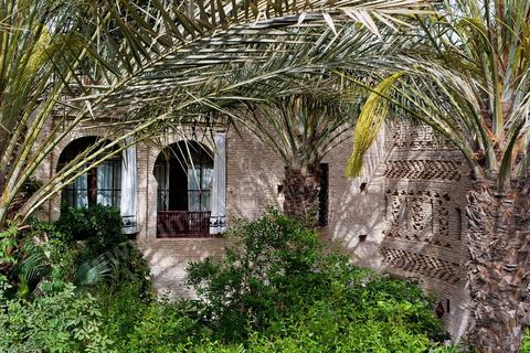 Patio jardin - Dar El Hadir de Antoine dans la medina de Tozeur