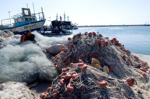 MArina et portd e pêche de Houmt Souk