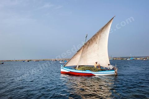 Bateau traditionnel de Kerkannah dans le port de pêche d'El Ataya sur l'île Chergui de Kerkennah