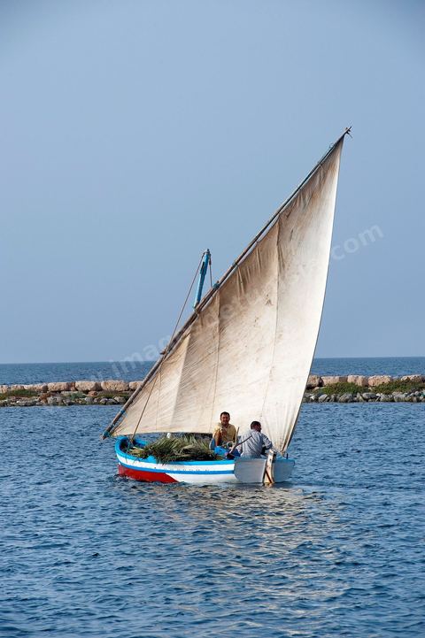 Bateau traditionnel de Kerkannah dans le port de pêche d'El Ataya sur l'île Chergui de Kerkennah