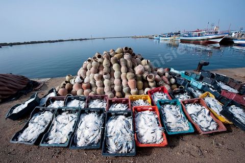 port de pêche d'El Ataya sur l'île Chergui de Kerkennah