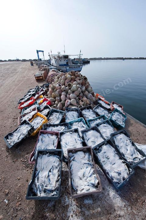 port de pêche d'El Ataya sur l'île Chergui de Kerkennah