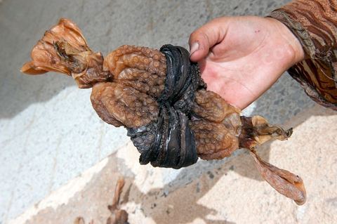 Poulpe séchée, une spécialité culiniare de Kerkennah