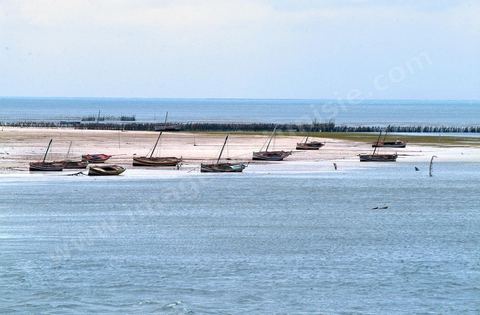 Plages et barques sur l'ile de Kerkennah