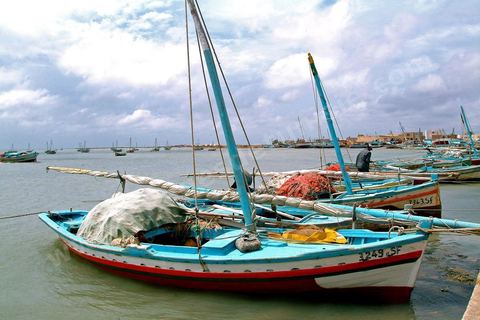 Plages et barques sur l'ile de Kerkennah