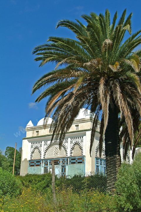 Koubba au parc du Belvedere - Tunis