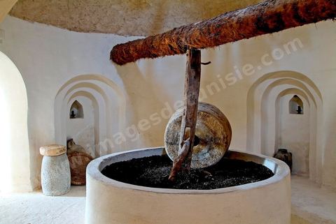 Huilerie souterraine de Djerba Heritage au Parc Djerba Explore