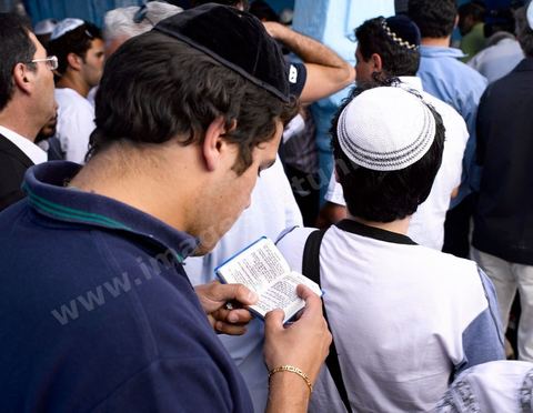 Pelerins juifs et prières dans une petite synagogue bleue à Hara Sghira Erriadh durant le pelerinage juif annuel au village de Erriadh ou Hara Sghira sur l'ile de djerba