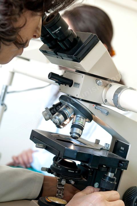 Laboratoire d'analyses des ovules et spermes au Centre de Recherche en Santé de la Repproduction de l'Ariana à Tunis - Office national de la Famille et de la Population - Ministère de la Santé Publique