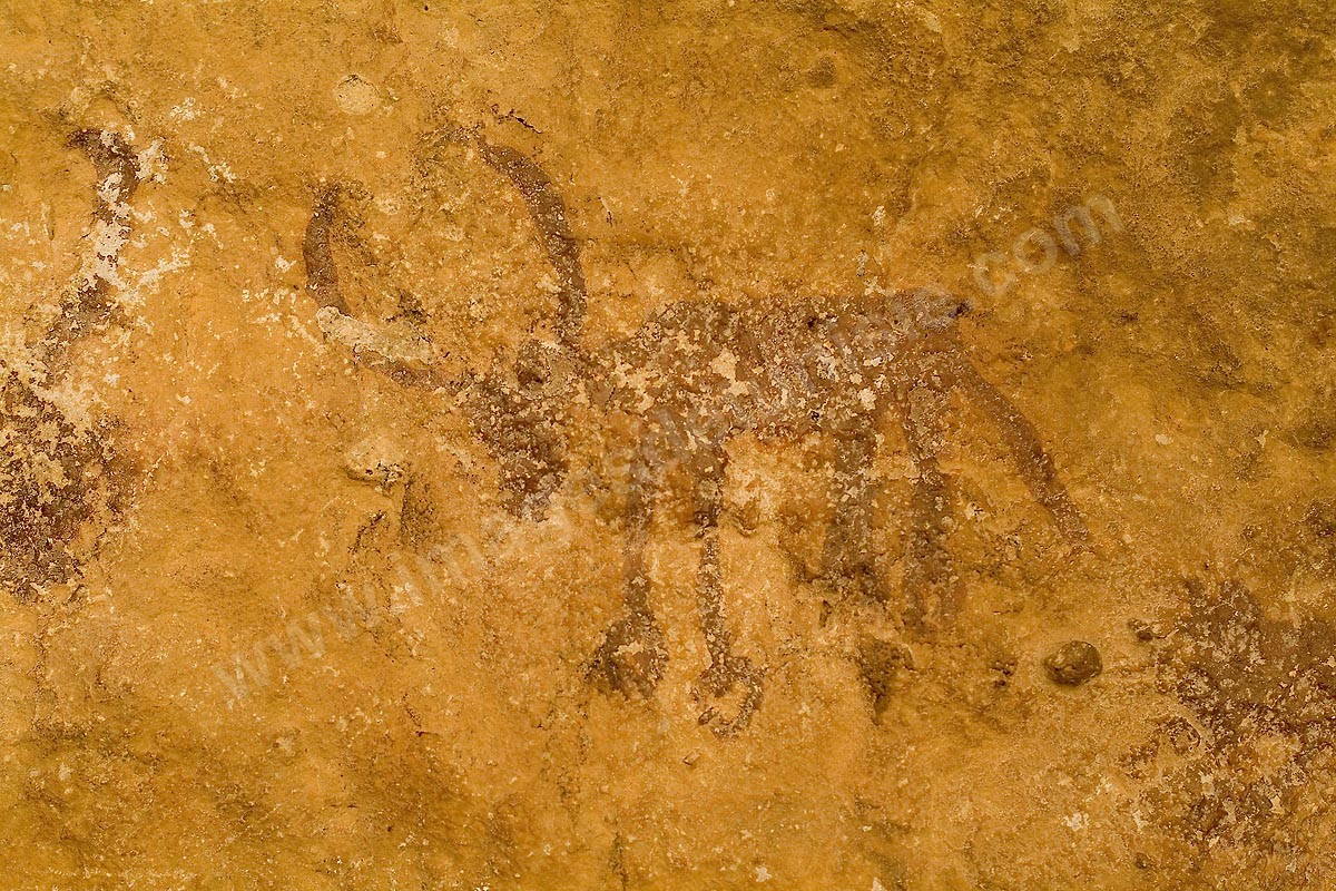 Ghomrassen