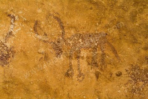 Peintures rupestres - Ghomrassen - Dahar