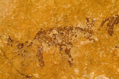 Peintures rupestres - Ghomrassen - Dahar
