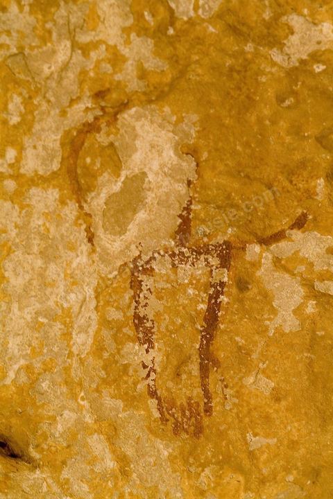 Peintures rupestres - Ghomrassen - Dahar