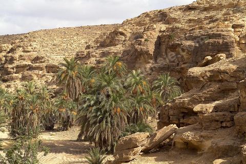 Ghomrassen - Dahar