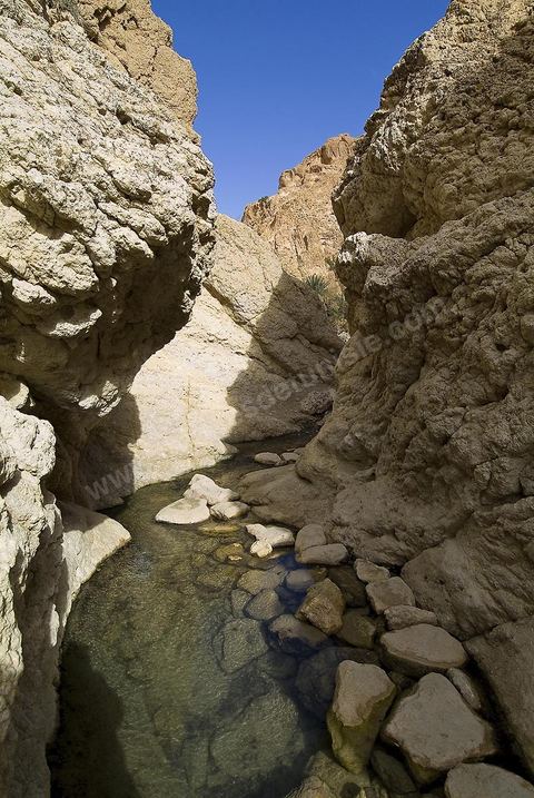 Village berbere de montagne et oasis de Chebika dans la region du Djerid au sud de la Tunisie