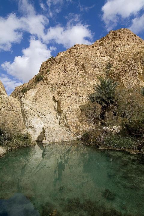 Village berbere de montagne et oasis de Chebika dans la region du Djerid au sud de la Tunisie