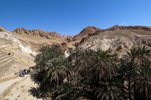 Village berbere de montagne et oasis de Chebika dans la region du Djerid au sud de la Tunisie