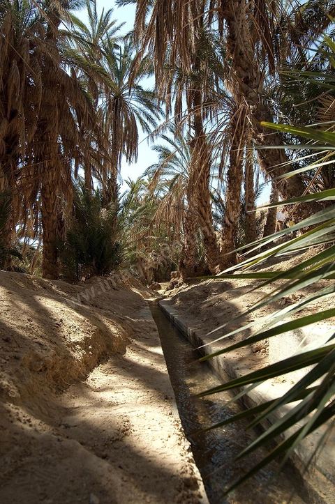 Village berbere de montagne et oasis de Chebika dans la region du Djerid au sud de la Tunisie