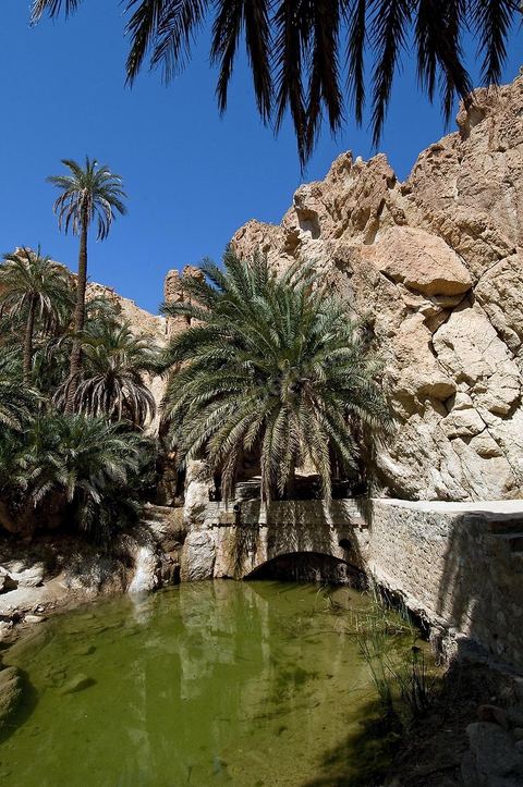 Village berbere de montagne et oasis de Chebika dans la region du Djerid au sud de la Tunisie