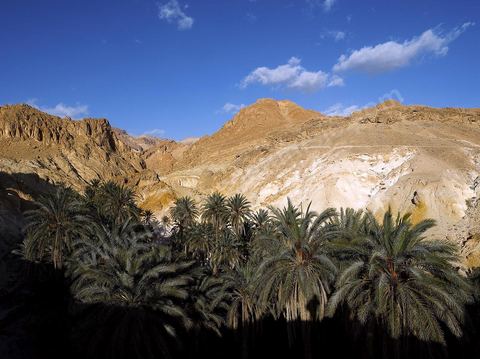 Village berbere de montagne et oasis de Chebika dans la region du Djerid au sud de la Tunisie