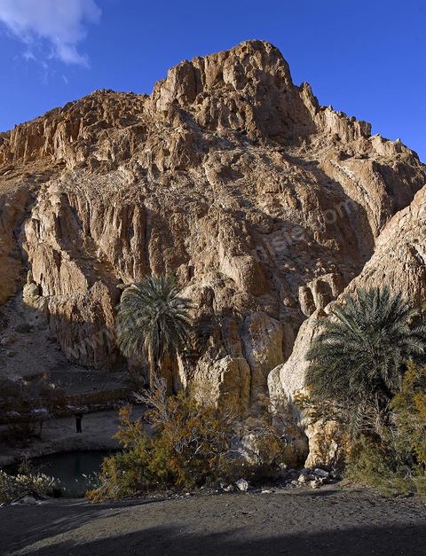 Village berbere de montagne et oasis de Chebika dans la region du Djerid au sud de la Tunisie