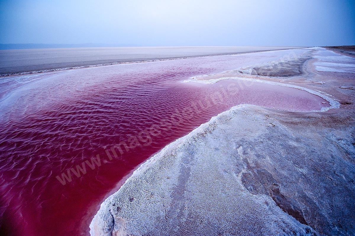 Chott el Jerid