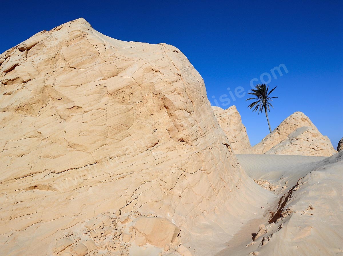 Les dunes de Debbecha