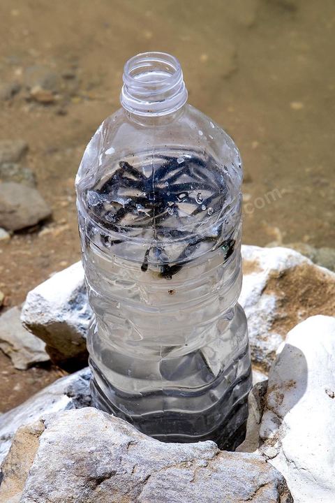 Après la diffusion des récommandations de vigilance et des risques pour la santé, les familles viennent plus par curiosité pour voir le lac mais ne se baignent plus. Ils revienennt tous avec une bouteille de cette eau et quelques poissons du lac - lac de "Gafsa Beach"