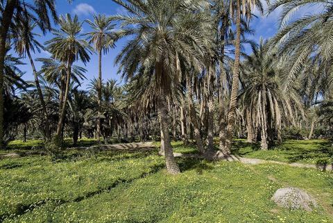Oasis de montagne, canyon  et village de Midès