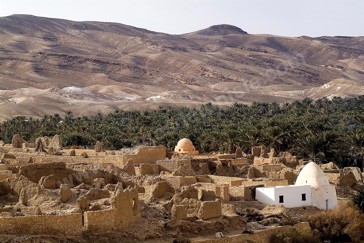 Tamerza