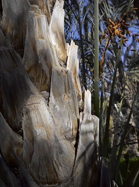 H07-209