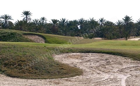 Terrain de Golf de Tozeur au dessus de la palmeraie
