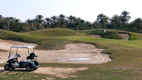 Terrain de Golf de Tozeur au dessus de la palmeraie