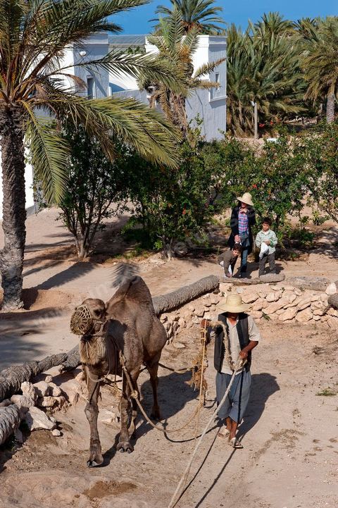 Jardins du menzel de Djerba Heritage au Parc Djerba Explore