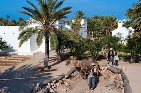 Jardins du menzel de Djerba Heritage au Parc Djerba Explore