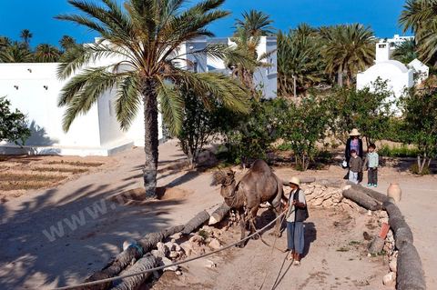 Jardins du menzel de Djerba Heritage au Parc Djerba Explore