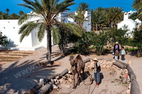 Jardins du menzel de Djerba Heritage au Parc Djerba Explore