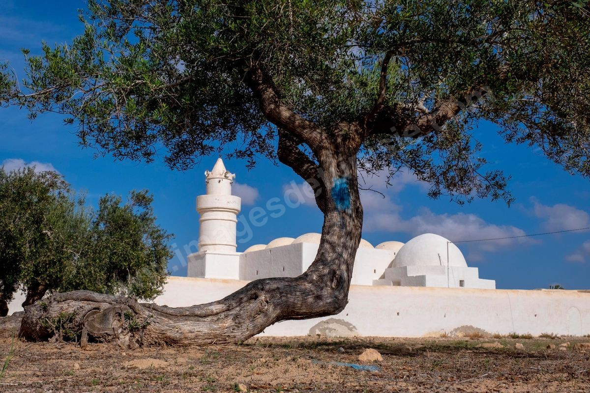 Mosquée El Bessi à Oualagh