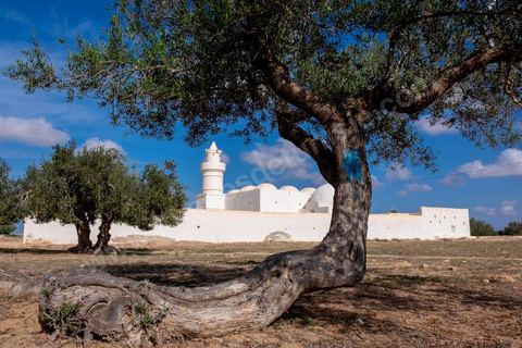 Mosquée El Bessi à Oualagh sur l'île de Djerba