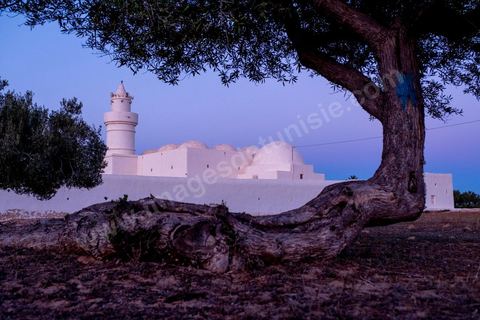 Mosquée El Bessi à Oualagh sur l'île de Djerba