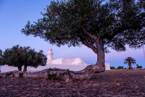 Mosquée El Bessi à Oualagh sur l'île de Djerba