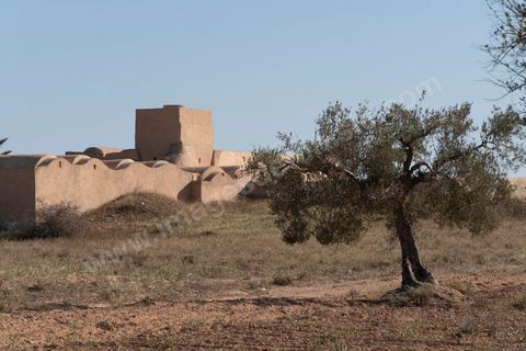 Mosquée Wahli, fondée au XIVème siècle sur l'île de Djerba