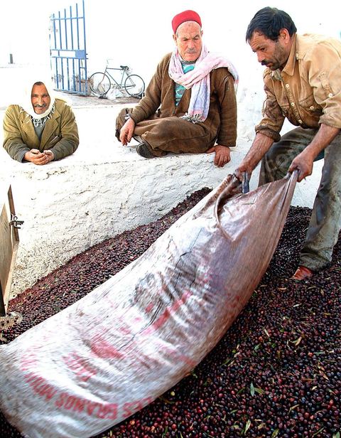 Huilerie traditionnelle - Mellita - Ile de Djerba