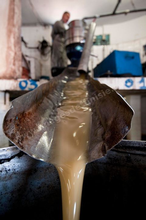 Huilerie traditionnelle - Mellita - Ile de Djerba