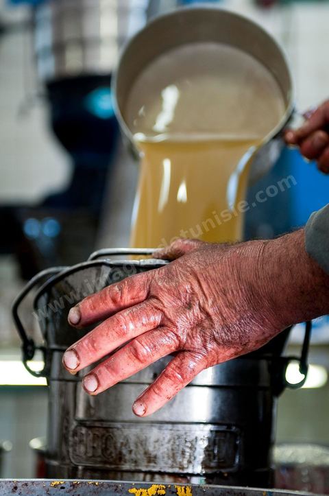Huilerie traditionnelle - Mellita - Ile de Djerba