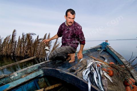 Pêche dasn les pêcheries fixes près de Mellita sur l'île de djerba
